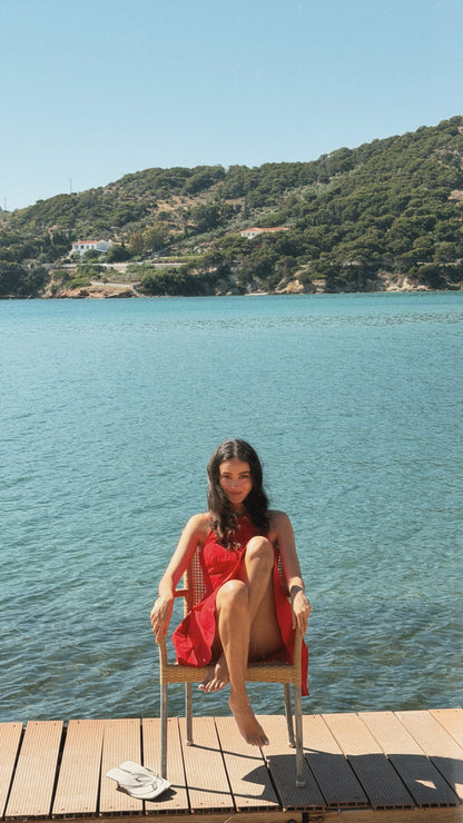 Scarlet Riviera Dress